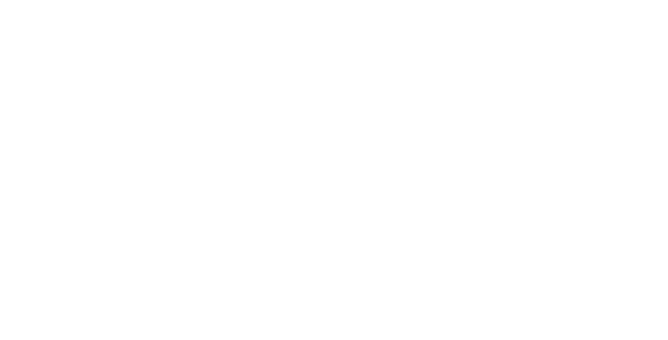 Paula-machin-logo-w